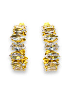 Bling Hoops earrings Precious Jewels