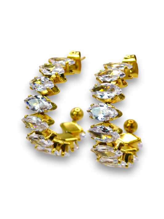 Bling Hoops earrings Precious Jewels