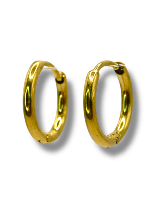 Everyday Simple Hoops earrings Precious Jewels