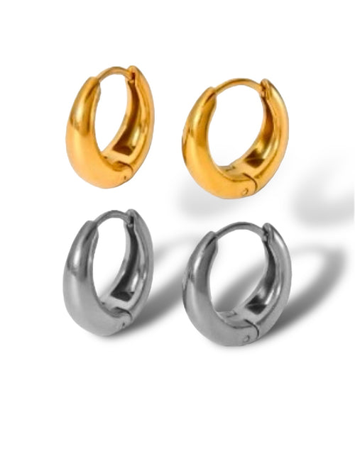 Chunky Hoops earrings Precious Jewels