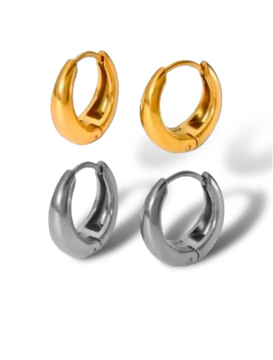 Chunky Hoops earrings Precious Jewels